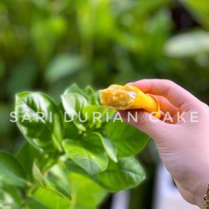 Crepe cuộn mix 3 vị tại Sari Bakery với lớp vỏ mỏng mềm và nhân kem lạnh mịn mát