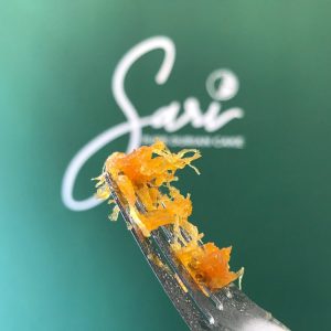 nhân dứa sau khi sên- vàn ươm